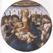 Madonna and child with eight Angels or Raczinskj Tondo Botticelli